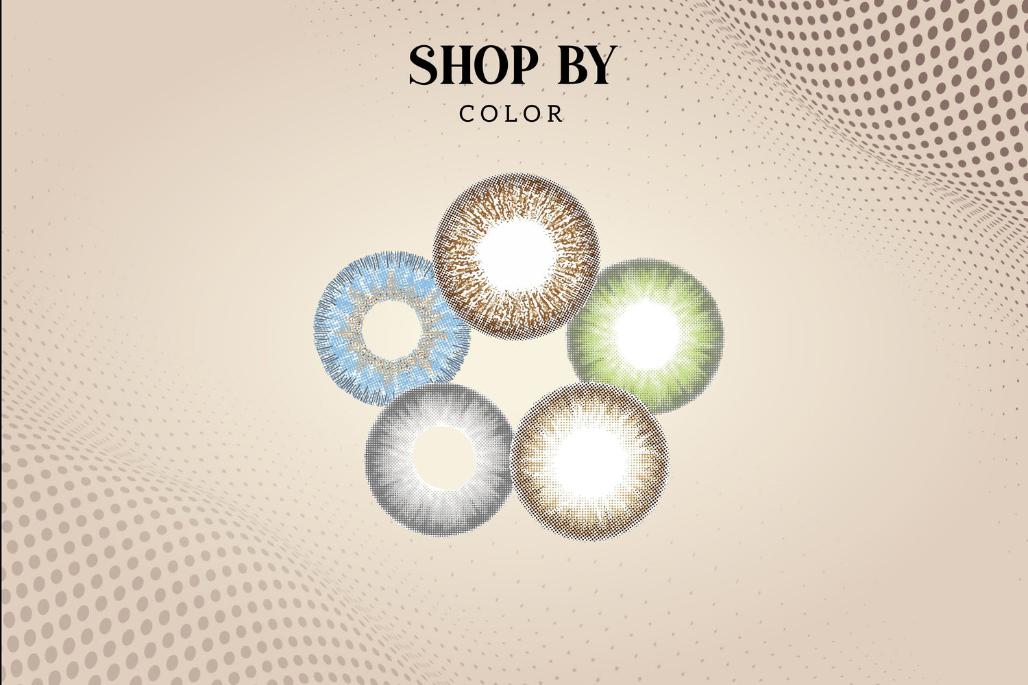 Shop By Colors